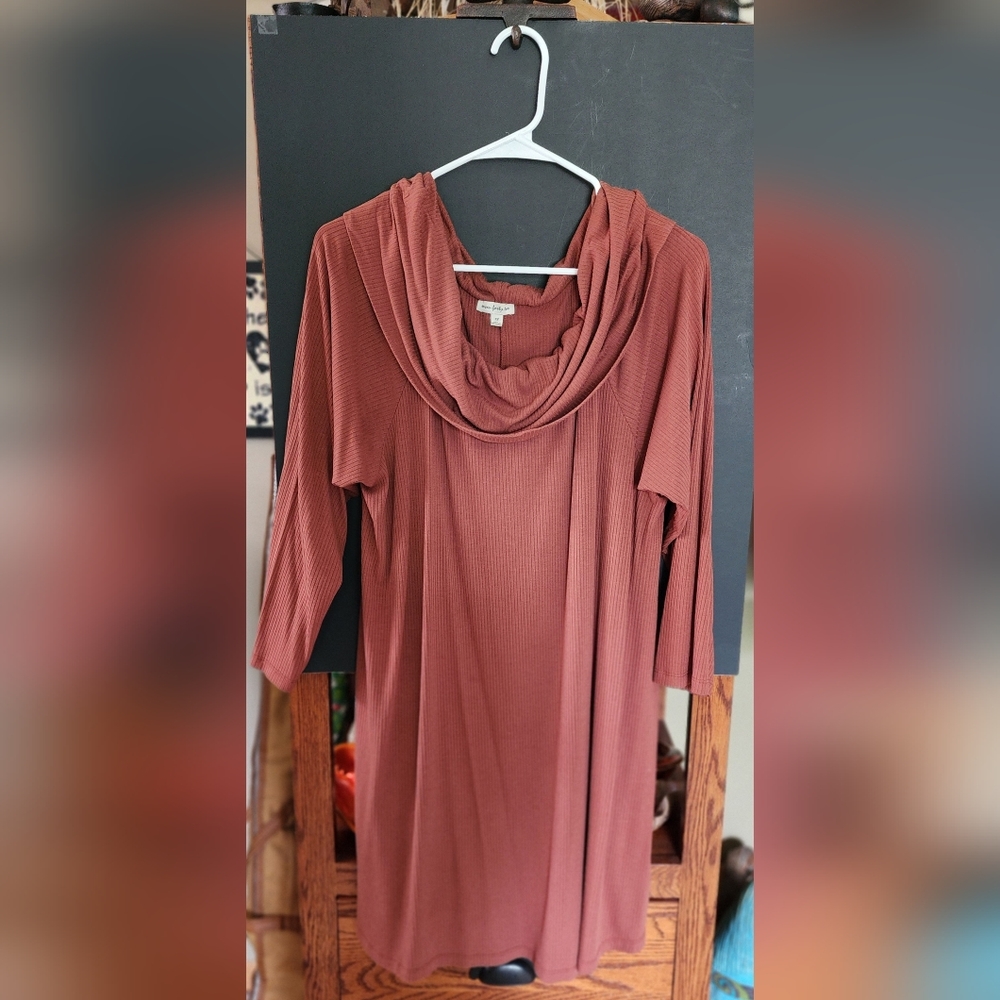 1X cowl neck sweater